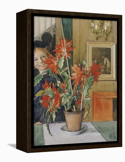 Brita's Cactus, 1904-Carl Larsson-Framed Premier Image Canvas
