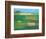 Britainy Fields-Herb Dickinson-Framed Photographic Print