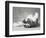 Britdog 2-Rachael Hale-Framed Photographic Print