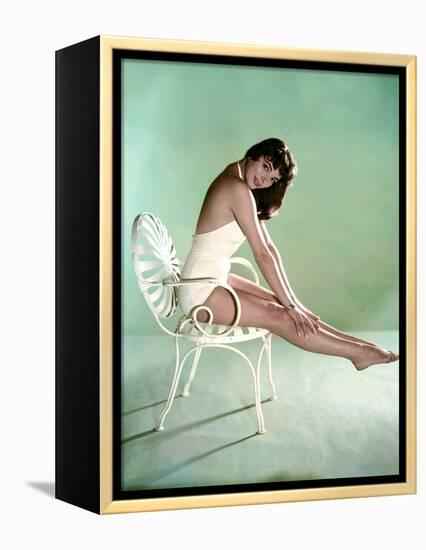 British actress Joan Collins 1956 (photo)-null-Framed Stretched Canvas