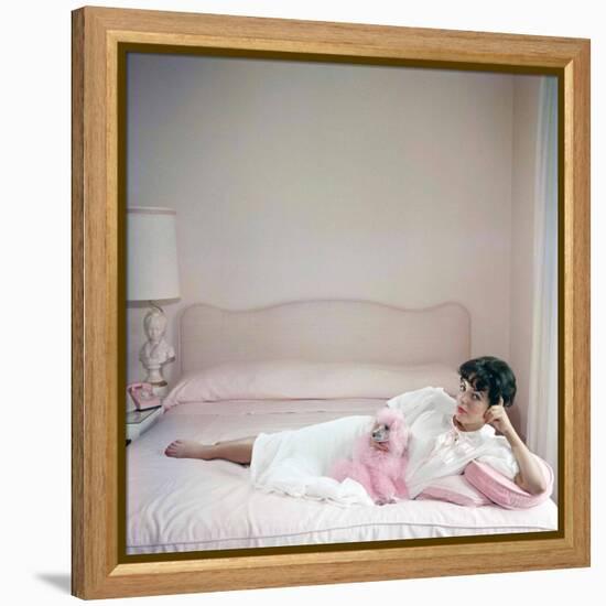 British actress Joan Collins in a pink bedroom with a pink toy poodle (photo)-null-Framed Stretched Canvas