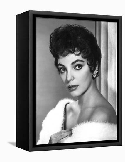 British actress Joan Collins in the 50's (b/w photo)-null-Framed Stretched Canvas