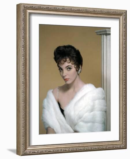 British actress Joan Collins in the 50's (photo)-null-Framed Photo