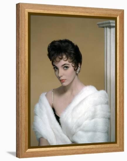 British actress Joan Collins in the 50's (photo)-null-Framed Stretched Canvas