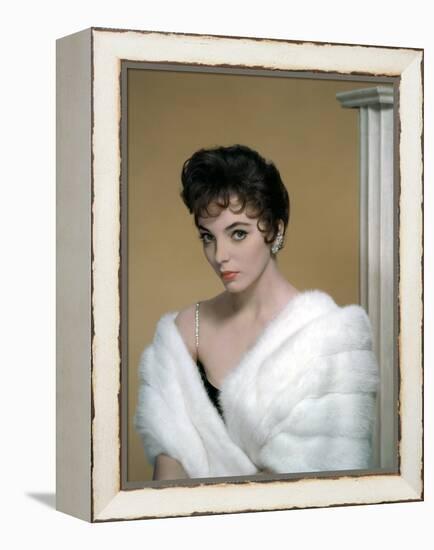 British actress Joan Collins in the 50's (photo)-null-Framed Stretched Canvas