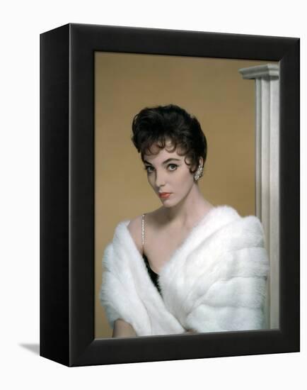 British actress Joan Collins in the 50's (photo)-null-Framed Stretched Canvas