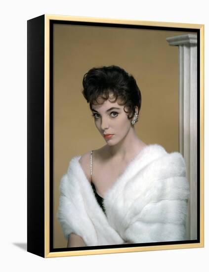 British actress Joan Collins in the 50's (photo)-null-Framed Stretched Canvas