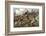 British and American Troops at the Battle of Bunker Hill During the American Revolutionary War-null-Framed Photographic Print