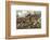 British and American Troops at the Battle of Bunker Hill During the American Revolutionary War-null-Framed Photographic Print