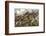 British and American Troops at the Battle of Bunker Hill During the American Revolutionary War-null-Framed Photographic Print