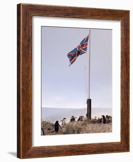 British Base, Port Lockroy, Antarctic Peninsula, Antarctica, Polar Regions-Sergio Pitamitz-Framed Photographic Print