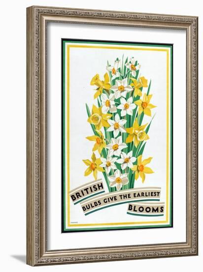 British Bulbs Give the Earliest Blooms, from the Series 'British Bulbs for Home Gardens'-Fawkes-Framed Giclee Print