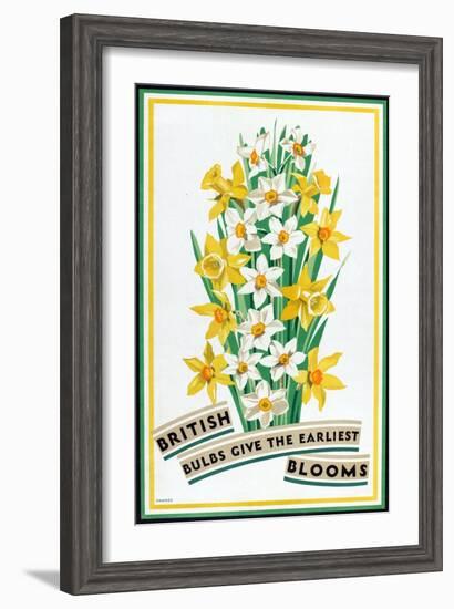 British Bulbs Give the Earliest Blooms, from the Series 'British Bulbs for Home Gardens'-Fawkes-Framed Giclee Print
