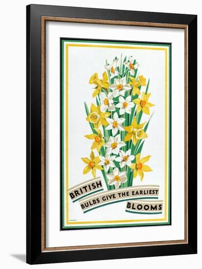 British Bulbs Give the Earliest Blooms, from the Series 'British Bulbs for Home Gardens'-Fawkes-Framed Giclee Print