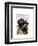 British Bulldog and Bowler Hat-Fab Funky-Framed Art Print