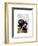 British Bulldog and Bowler Hat-Fab Funky-Framed Art Print