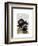 British Bulldog and Bowler Hat-Fab Funky-Framed Art Print