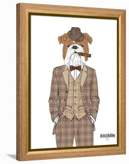 British Bulldog in Tweed Suit-Olga Angellos-Framed Stretched Canvas