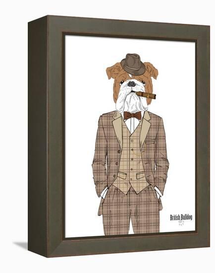 British Bulldog in Tweed Suit-Olga Angellos-Framed Stretched Canvas