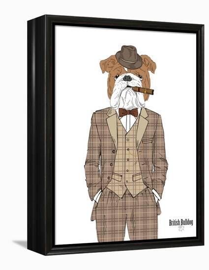 British Bulldog in Tweed Suit-Olga Angellos-Framed Stretched Canvas