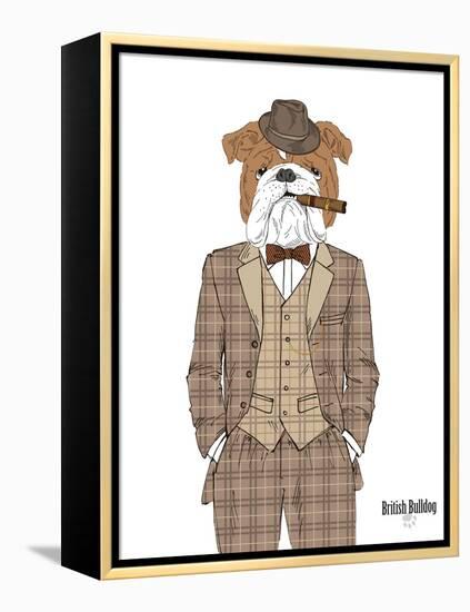 British Bulldog in Tweed Suit-Olga Angellos-Framed Stretched Canvas