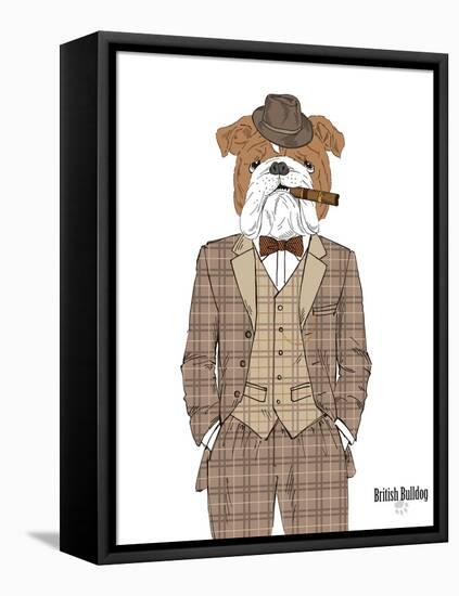 British Bulldog in Tweed Suit-Olga Angellos-Framed Stretched Canvas
