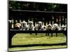 British Bulldog Puppies on a Park Bench, 1994-null-Mounted Photographic Print