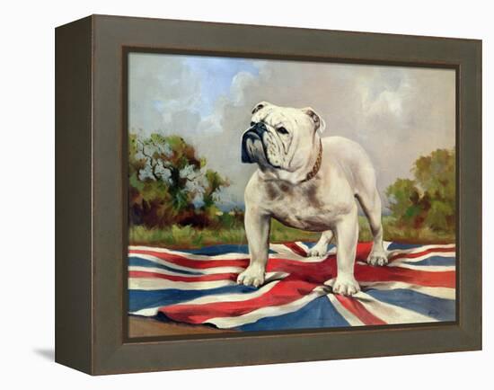 British Bulldog-null-Framed Premier Image Canvas