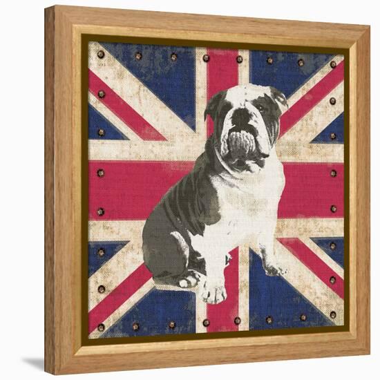 British Bulldog-Sam Appleman-Framed Stretched Canvas