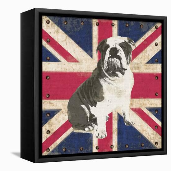 British Bulldog-Sam Appleman-Framed Stretched Canvas