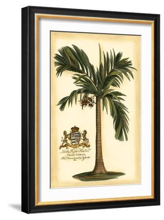 British Colonial Palm I Black Framed Wall Art Print Palm Tree Home Decor 