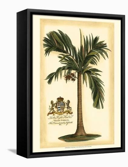 British Colonial Palm I-null-Framed Stretched Canvas