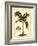 British Colonial Palm I-null-Framed Art Print