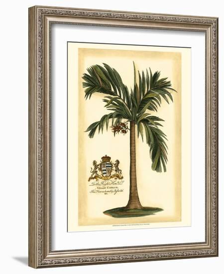 British Colonial Palm I-null-Framed Art Print