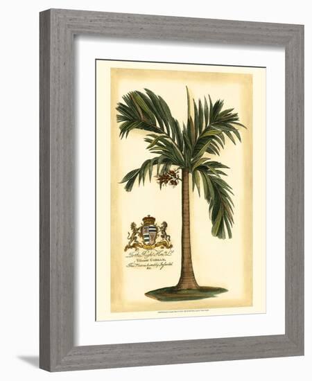 British Colonial Palm I-null-Framed Art Print