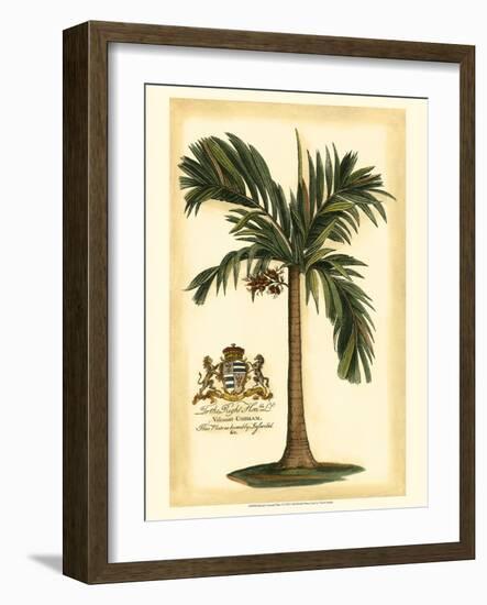 British Colonial Palm I-null-Framed Art Print