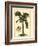 British Colonial Palm I-null-Framed Art Print