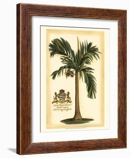 British Colonial Palm I-null-Framed Art Print