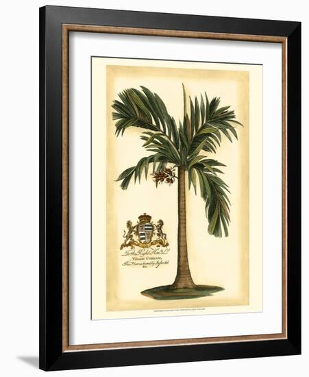 British Colonial Palm I-null-Framed Art Print