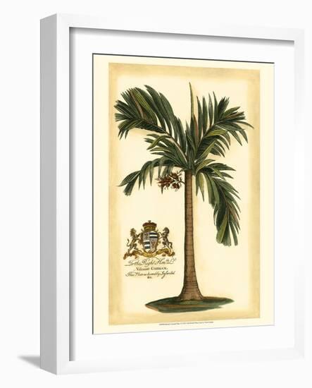 British Colonial Palm I-null-Framed Art Print