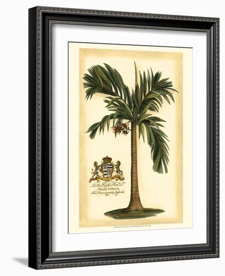 British Colonial Palm I-null-Framed Art Print