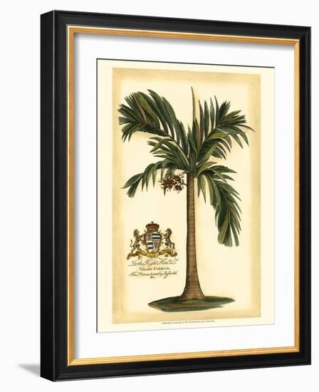 British Colonial Palm I-null-Framed Art Print