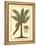 British Colonial Palm II-null-Framed Stretched Canvas