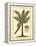 British Colonial Palm II-null-Framed Stretched Canvas