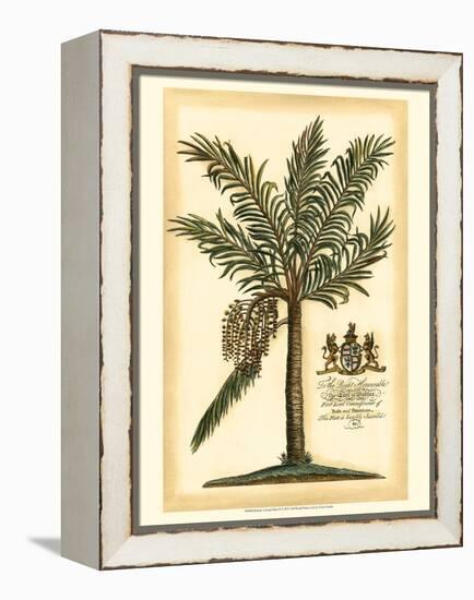 British Colonial Palm II-null-Framed Stretched Canvas