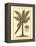 British Colonial Palm II-null-Framed Stretched Canvas