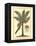 British Colonial Palm II-null-Framed Stretched Canvas