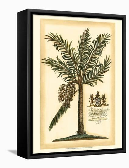 British Colonial Palm II-null-Framed Stretched Canvas