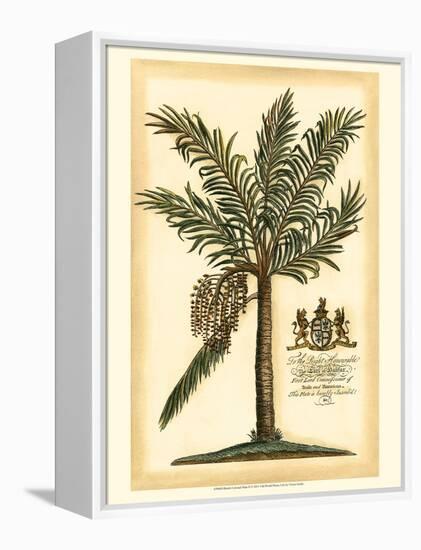 British Colonial Palm II-null-Framed Stretched Canvas