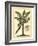 British Colonial Palm II-null-Framed Art Print
